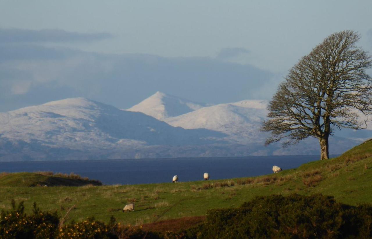 Cnoc A'chonasg * Flashader